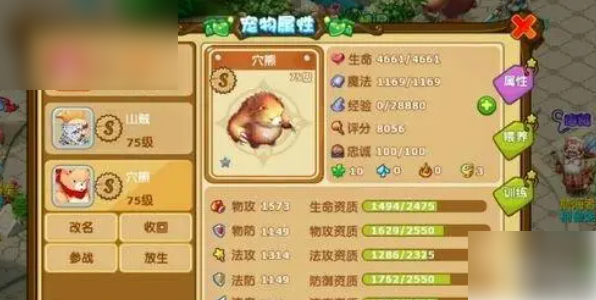 魔力宝贝物宠和法宠怎么选择? 魔力宝贝物宠和法宠怎么选择?