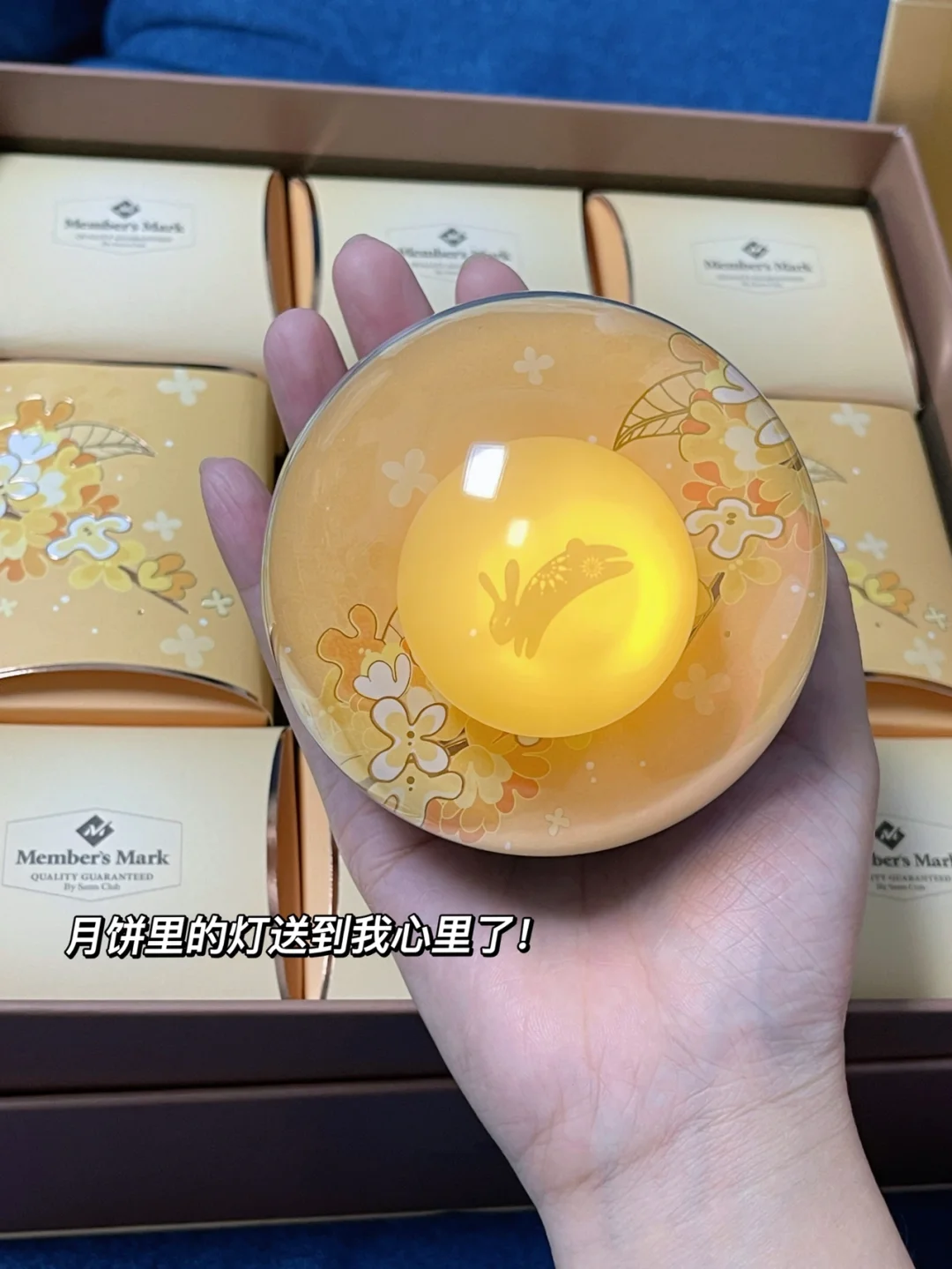 魔力宝贝桂花月饼(魔力宝贝桂花月饼怎么做)