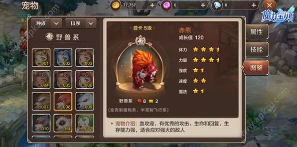 《魔力宝贝》绿龙巢穴1-5关打法以及注意简述 《魔力宝贝》绿龙巢穴1-5关打法以及注意简述