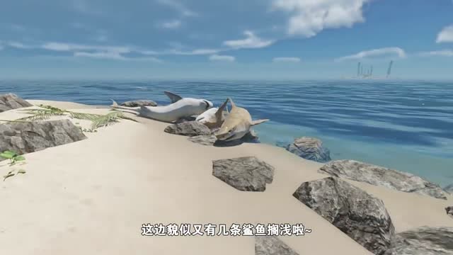 魔力宝贝手游宝藏探险攻略道具满血复活
