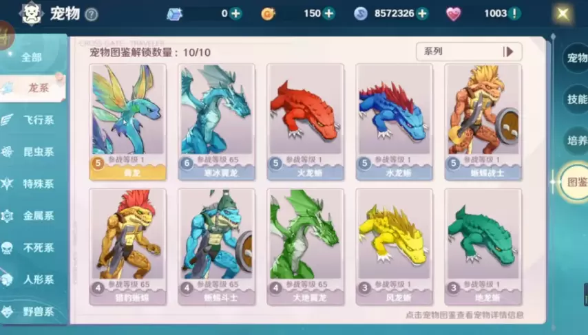 魔力宝贝格斗带什么宠物最好(魔力宝贝格斗带什么宠物最好用) 魔力宝贝格斗带什么宠物最好(魔力宝贝格斗带什么宠物最好用)