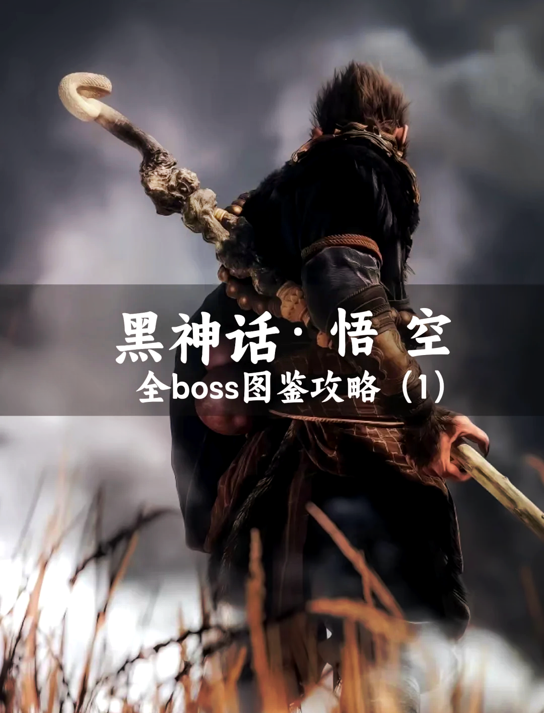 魔力宝贝风鸣之塔玩法攻略挑战boss赢奖励(魔力宝贝手游风鸣之塔地图)